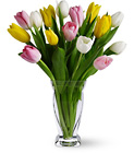  Tulip Treasure Cottage Florist Lakeland Fl 33813 Premium Flowers lakeland